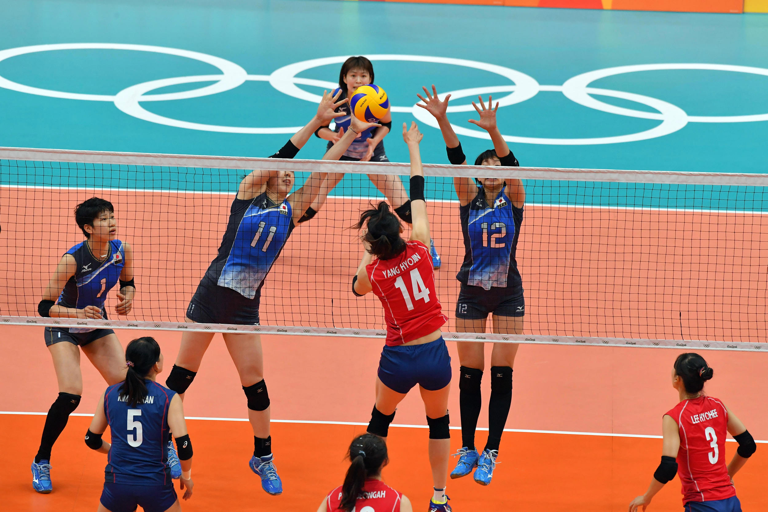 volleyball at rio olympics